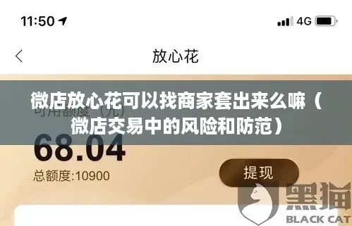 微店放心花金可以套出来吗？