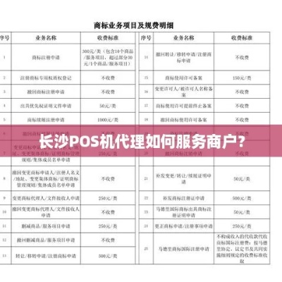 长沙POS机申请指南，轻松接入支付系统