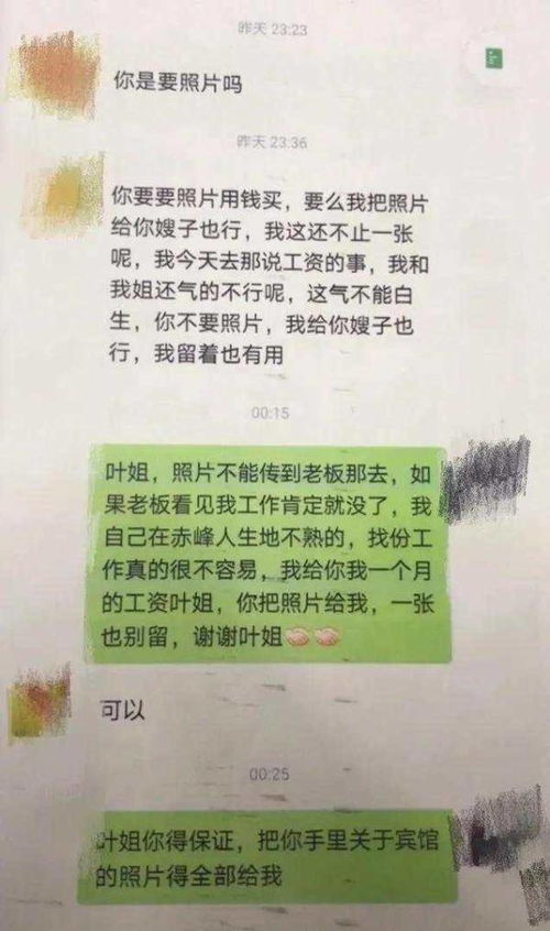 酒店员工违法记录调查，确保客人安全与合法权益 - 保障行业规范与道德底线