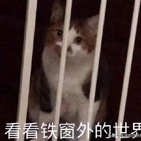 无需对方同意查男朋友宾馆开房记录怎么查