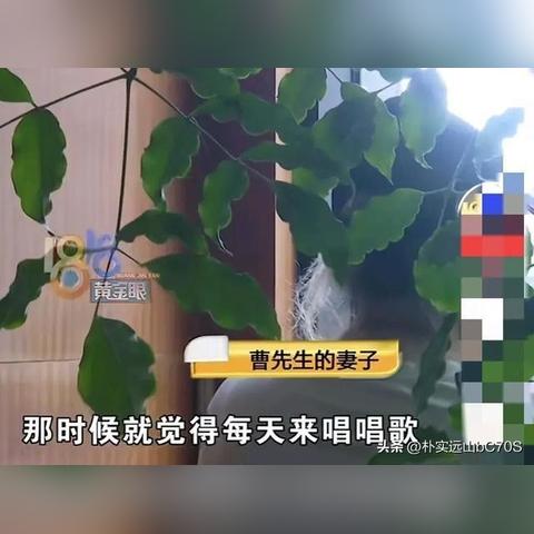 最新方法查老婆与谁聊天记录哪里有的方法