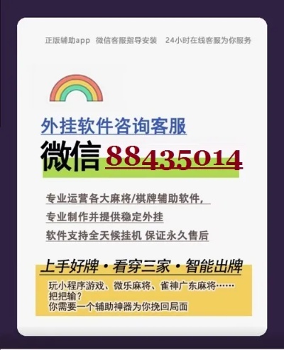 微信斗地主辅助透视开挂，微信斗地主辅助透视开挂，揭秘作弊背后的真相