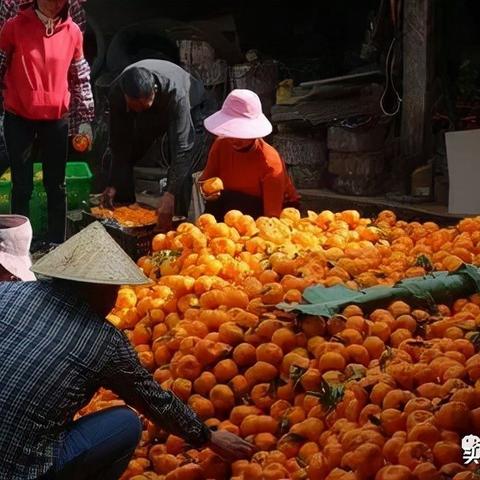 腾讯欢乐麻将作弊群，揭秘腾讯欢乐麻将作弊群，背后的黑色产业链