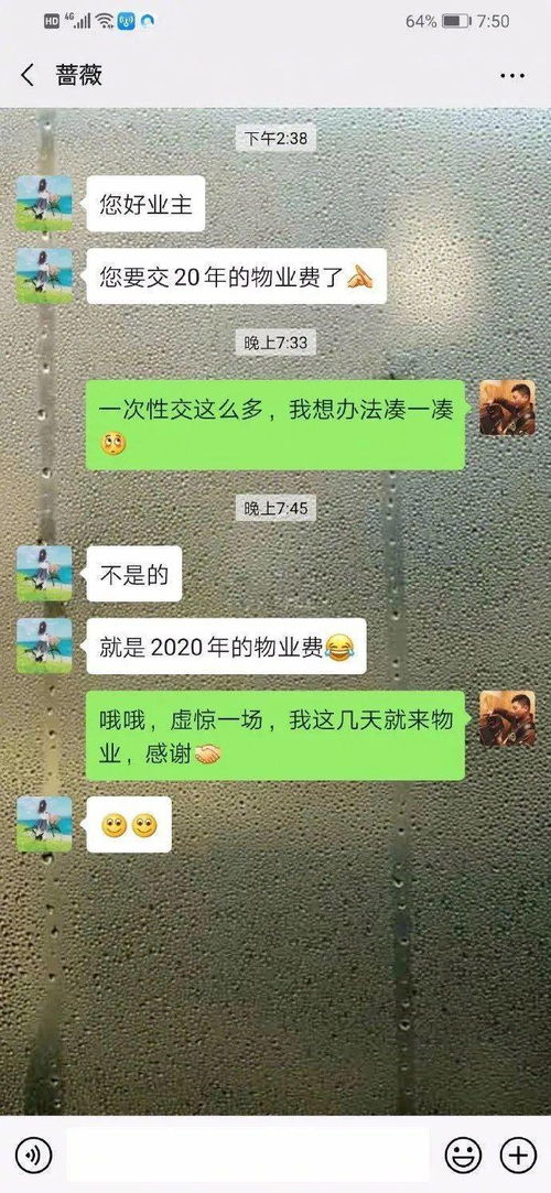 网跃南充麻将作弊，南充麻将作弊现象揭秘，网络诱惑与现实困境的交织