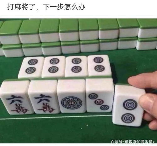 怎么下载欢乐麻将作弊，揭秘欢乐麻将作弊方法，如何下载并使用作弊软件