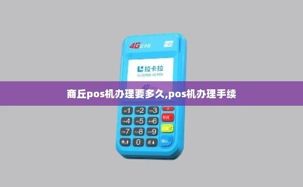 沈丘POS机申请攻略，一站式解决方案与申请指南