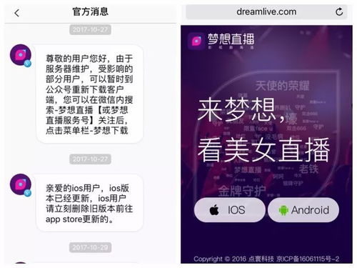 星悦福建麻将作弊ios，揭秘，星悦福建麻将作弊ios的真相