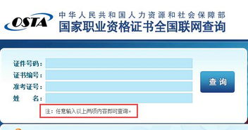 个人申请POS机查询全解析，流程、注意事项及查询方法