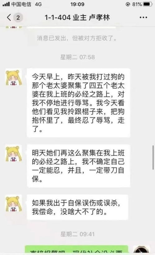 怎么才能查她的聊天记录,揭秘网络隐私，如何合法查询他人聊天记录