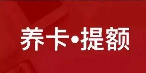 餐饮POS机申请全攻略，步骤、注意事项及必备条件