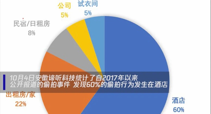 怎么查伴侣酒店住房记录,怎么查伴侣酒店住房记录，违法行为的警示与解析