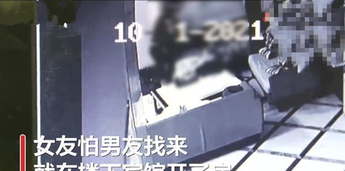 特警能查酒店记录吗,特警能否查酒店记录，探讨权力边界与隐私保护