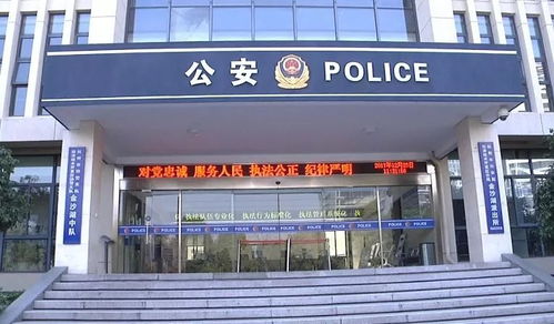 边防警察突然查酒店记录,边防警察突然查酒店记录，探究背后的原因与意义