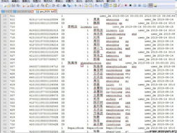 如家酒店可以查记录吗,如家酒店可以查记录吗，隐私保护与酒店监控管理的探讨