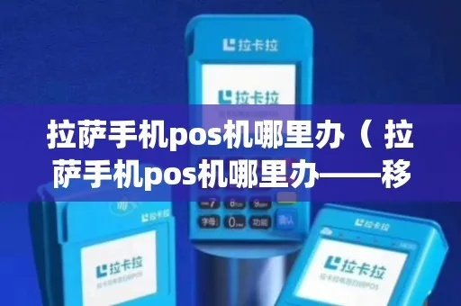 拉萨POS机申请攻略，申请地点、流程与注意事项