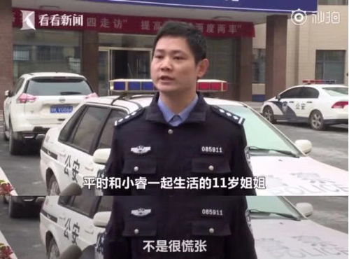 警察弟弟查姐姐酒店记录,警察弟弟查姐姐酒店记录，探寻背后的真相与隐私权边界