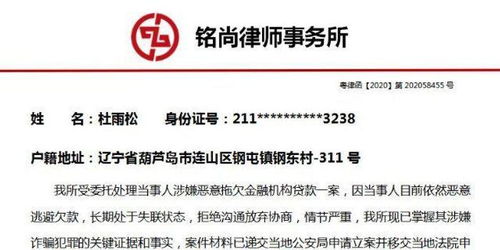 深圳罗湖POS机申请全攻略，流程、条件及注意事项