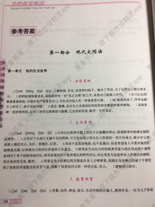 海关会查全程酒店记录吗,海关是否会查全程酒店记录，探究隐私权与监管权的边界