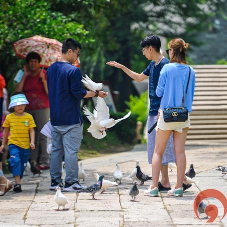 同城旅行提钱购额度怎么提现，分享三个步骤