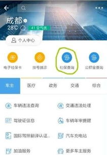 支付宝酒店记录怎么查,支付宝酒店记录查询方法及注意事项