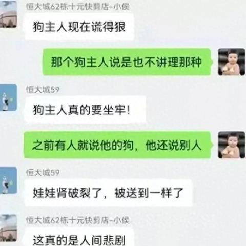 怎么查狗狗住酒店记录呢,如何查询狗狗的酒店入住记录