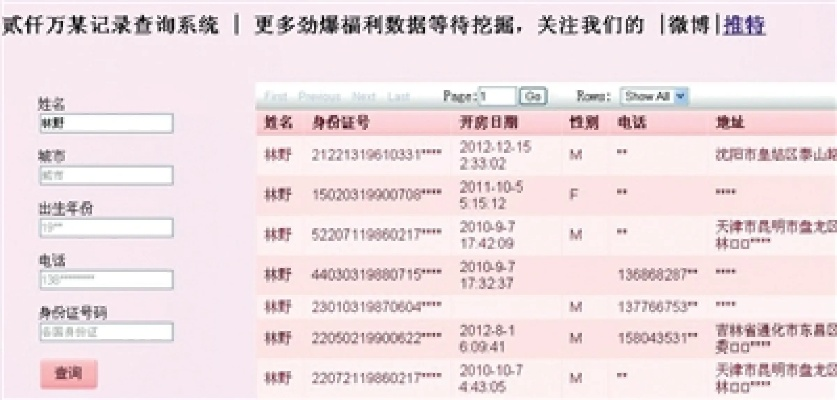 查开房记录查询网址,网络隐私的边界——查开房记录查询网址探究