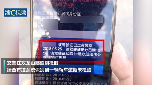 温州交警查酒店记录查询,温州交警查酒店记录查询，维护交通安全与打击犯罪并重