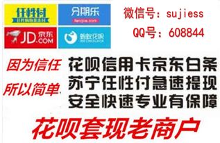 羊小咩套现秒到商家,羊小咩套现秒到商家，创新支付解决方案的实践与分析