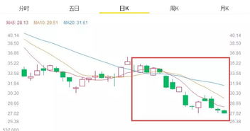 查酒店的开房记录查询,查酒店的开房记录查询，揭秘背后的技术和服务