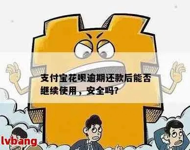 抖音月付金套出来多久到账啊安全吗,抖音月付金套现到账时间及安全性分析