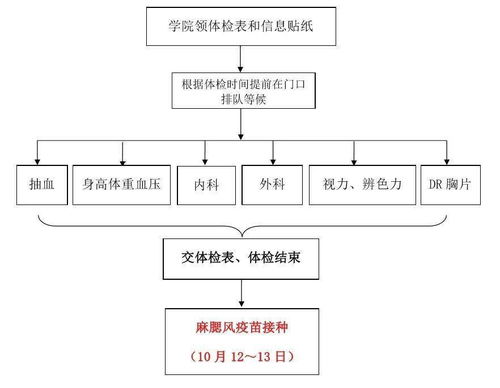 商店POS机申请指南，申请流程、地点及注意事项