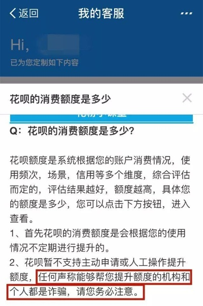 羊小咩购物额度套现方式,羊小咩购物额度套现方式详解，实用攻略与案例分析