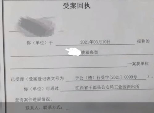 公安局第二天查酒店记录,公安局第二天查酒店记录，细节解析与实际操作案例