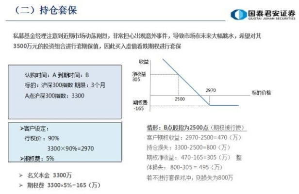 羊小咩最新套现方法,羊小咩最新套现方法详解，实用技巧与案例分析