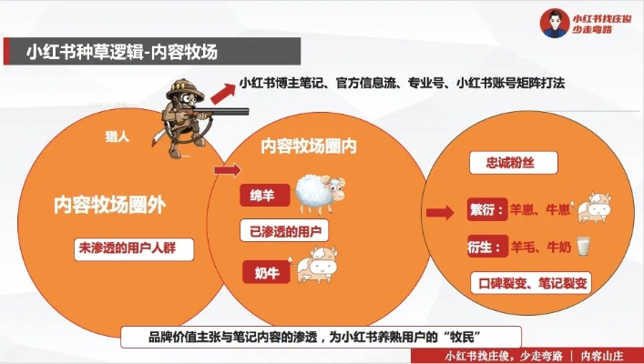 羊小咩怎么快速套现,羊小咩快速套现攻略详解，实用方法与案例分享