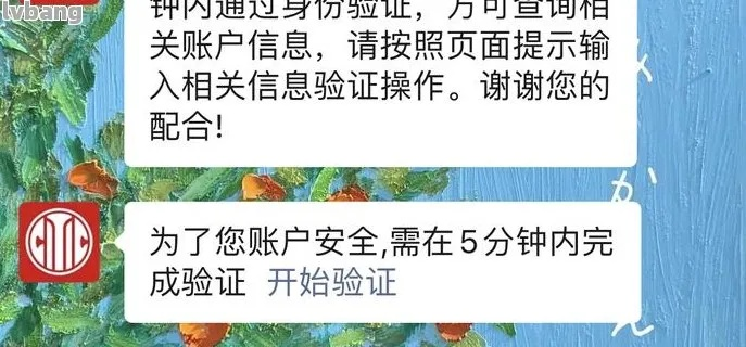 羊小咩购物额度怎么套现啊,羊小咩购物额度套现攻略详解，操作指南与注意事项