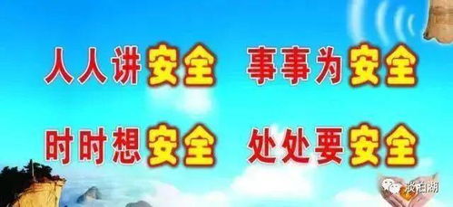 羊小咩套现安全吗,羊小咩套现安全吗？——深度解析与案例警示