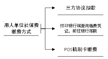 全面解析社保卡POS机申请流程与要点