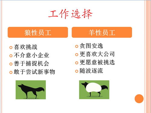 羊小咩商家怎么套现,羊小咩商家套现指南，实用操作与案例分析