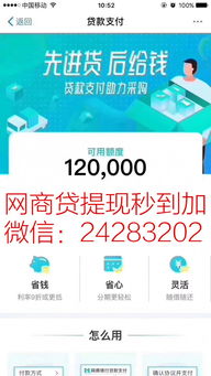 羊小咩5000额度套现流程详解,羊小咩5000额度套现流程详解——警惕风险，切勿触碰法律底线