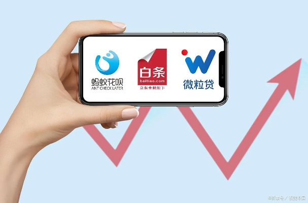 白条可以买什么套出来,白条购物的省钱妙招与实用技巧