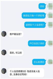 公安系统查开房记录,公安系统查开房记录