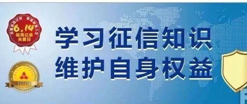 羊小咩怎么跟商家套现,羊小咩套现攻略揭秘，风险警示与合规操作指南