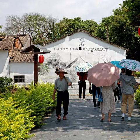 普宁查酒店入住记录,普宁查酒店入住记录，一步步教你如何查询，那些细节你需要注意