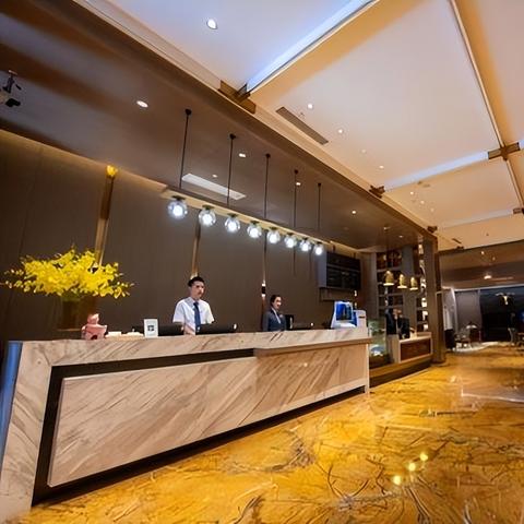 公安部门怎么查酒店记录,公安部门怎么查酒店记录，过程、细节与案例解析