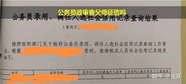 公务员政审会查酒店记录,公务员政审是否会查酒店记录，解读与案例分析