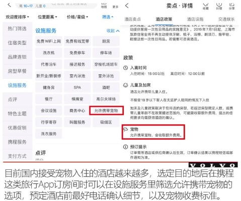 带狗入住酒店怎么查记录,带狗入住酒店怎么查记录，实用指南与案例分析