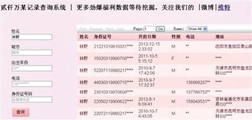 查开房记录的网站,揭秘网上查开房记录的真相