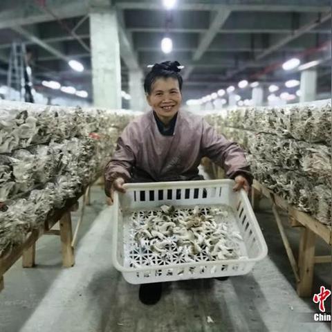 申请建行POS机所需时间及相关流程详解