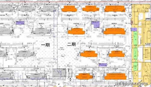 白条24小时套出来多少钱一天,白条24小时套出来多少钱一天——实用技巧与案例分析